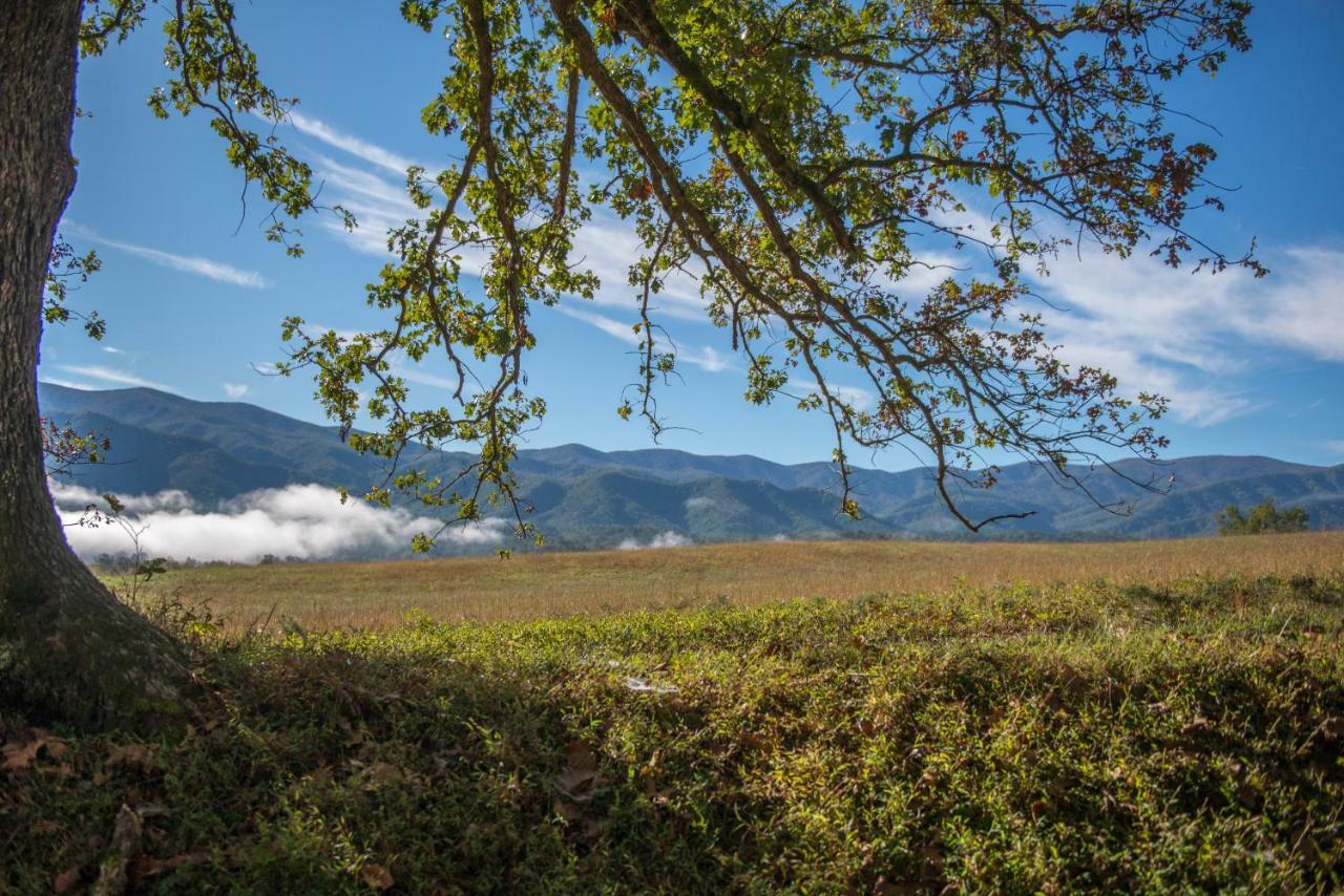Mountain Escape Villa Dupont Springs Bagian luar foto